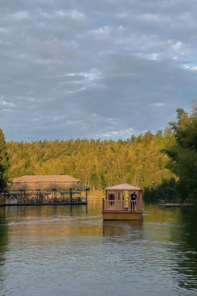 诗画宜宾 鸟翔鱼跃——机制竹炭绘就的生态新画卷