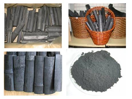 浙江农林大学教授领衔制定竹炭国际标准，机制竹炭产业迎来全球规范新纪元